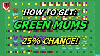 How to get Green Mums! (25% chance) // ANIMAL CROSSING NEW HORIZONS guide