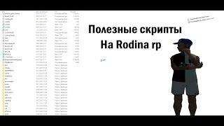 ЛУЧШИЕ СКРИПТЫ НА РОДИНА РП! #1