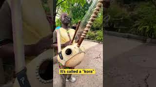 Chillin’ with my kora - West African musical instrument