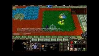 Warcraft 3 Ты идиот? - 13 уровень