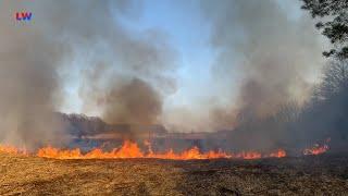 Lausitz: Waldbrandgefahr aktuell so hoch wie selten im Winter - LAUSITZWELLE