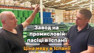 Найбільше підприємство переробки меду та воску в Іспанії. Ціна на мед в Іспанії