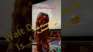 Walt Disney World Is Sweetums! Muppet Vision 3D Hollywood Studios