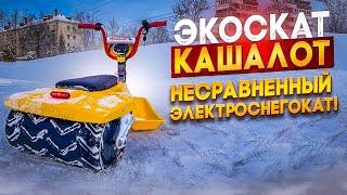 Электроснегокат "Кашалот" везет взрослых и детей!