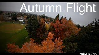 Autumn Flight | Freestyle FPV