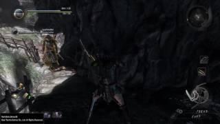Nioh - OK Bye