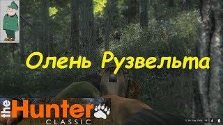 the Hunter Classic. Охота на оленя Рузвельта.