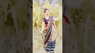 #Video | छूटता पसीना | #Khesari Lal Yadav,#Shilpi Raj | Bhojpuri Chaita Song 2022