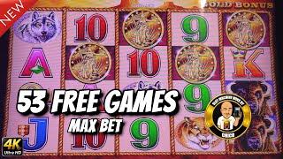 53 Free Games on MAX BET on Buffalo Gold Slot Machine