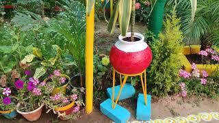 Village Home Garden | Parsodi | Nature Beauty | Garden Ideas |  2021