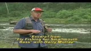 Fly Fishing For Smallmouth Bass Video
