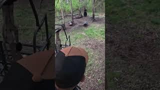492#  #elkshape