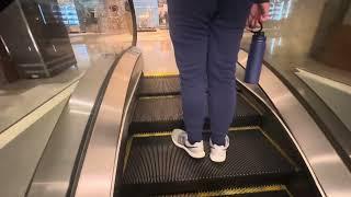 MERRY CHRISTMAS!!  Westinghouse Escalators at the Hyatt Regency Orlando International Airport