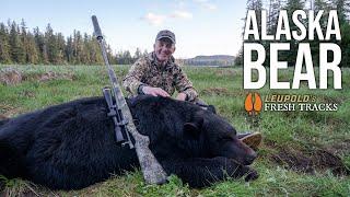 BIG Alaskan Bruin DOWN! | Alaska Bear #FreshTracks