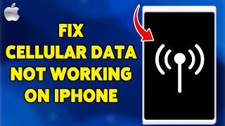 How To Fix Cellular Data Not Working On iPhone 2024 | Troubleshoot Your Mobile Connection Issues