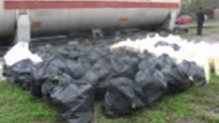 оперативне відео
