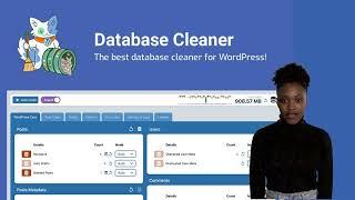 Database Cleaner - Best WordPress Cleaner in 2022