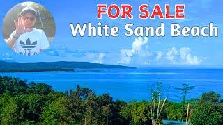 LFS 152 | Private white sand Beach Lot for sale in the Philippines | Overlooking