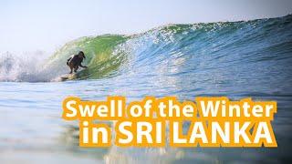 Surfing in Sri Lanka