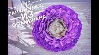 ранункулюс из фоамирана