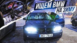 Поиск ЗИМНЕГО авто. Сколько стоит BMW E46 сегодня?