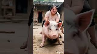 B, rural life, rural life, second senior brother, wonderful moments, boo absurd video