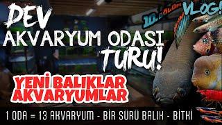 2 DAVETSİZ MİSAFİRLE AKVARYUM ODASI TURU DEV VLOG! | 1 ODA = 13 AKVARYUM | AKVARYUM ODASI 10. BÖLÜM