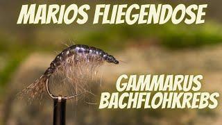 Marios Fliegendose - Gammarus - Bachflohkrebs