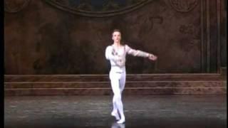 Alexander Sergeev - "Swan lake" male variation