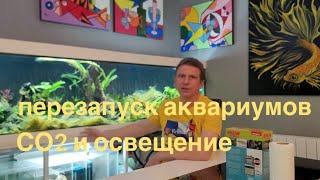 Перезапуск аквариумов. Часть 8. От СО2 до освещения.