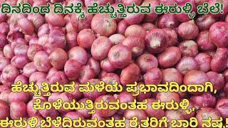 29 May 2025 Yeshwantpur onion market | APMC Market | today APMC market rate