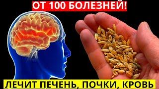 ЛЕЧИТ 100 БОЛЕЗНЕЙ: печень, почки, бронхит, грипп, кашель, чистит кровь, укрепляет иммунитет