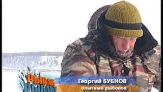 Рыбак рыбаку 348 "Жигулевское море".