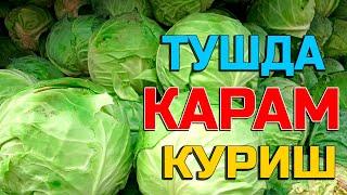 Туш табири - Тушда карам куриш