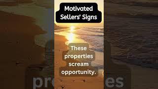 Wholesaling Knowledge in 6 Seconds via  Real Estate Wholesaling Expert Avi Schwartz