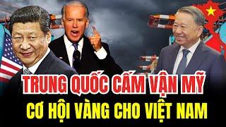 TRUNG QUỐC CẤM VẬN MỸ NGAY SAU KHI ÔNG TÔ LÂM SANG THĂM. CƠ HỘI VÀNG CHO NGÀNH KINH TẾ VIỆT NAM