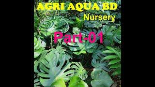 Plant Nursery in Narayanganj Town। Agri Aqua Bd Nursery - Part 01