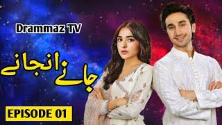 Jany Unjany - Episode 01- Hamza Sohail - Sajal Aly - HUM TV Drama - Drammaz TV