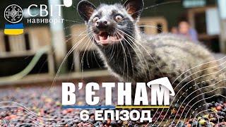 Найдорожча кава у світі та як вирощують королівських креветок. В’єтнам. Світ навиворіт 6 випуск