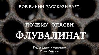 Почему ФЛУВАЛИНАТ опасен и зачем нужна ротация соторамок (Боб Бинни, США)