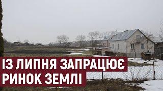 Із липня на Тернопільщині запрацює ринок землі: як працюють фермери зараз?