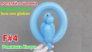 ПОПУГАЙ из ШАРИКА супер просто и легко Balloon Animal Parrot DIY Como hacer un loro con globos