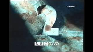 BBC2 90s Idents (1996 + 1999)