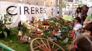 Festival de cerezas. Праздник черешни.