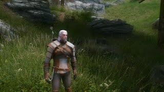 Skyrim Vividian ENB + Witcher