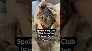 Spoiled Kitty Club (Pink Pony Club Parody) #catvideos #cat #catlover #chappellroan