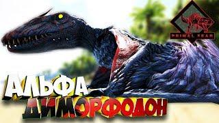 Приручение Альфа Диморфодона!  - Ark Survival Evolved Primal Fear #3