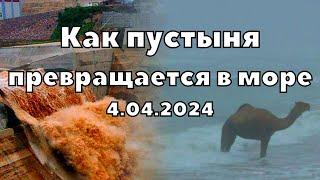 Наводнение в Саудовской Аравии! Перелив Плотины, пустыня превращается в море