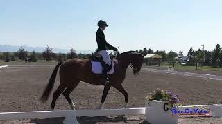 461D Sophie McCanna on Fernhill Vanguard JR Novice Dressage Rebecca Farm July 2024