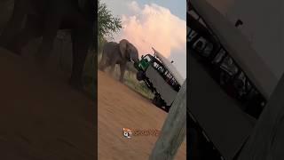 Beast Mode: Small Creatures, Big Power